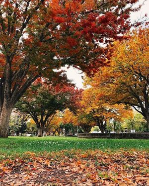 Image post by @sacstate on Twitter