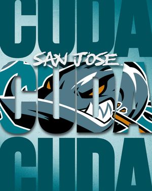Image post by @sjbarracuda on Instagram