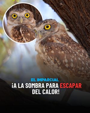 Image post by @elimparcial on Instagram