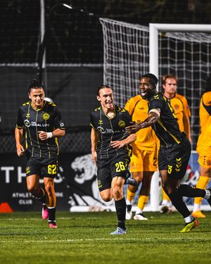 Image post by @charlestonbattery on Instagram