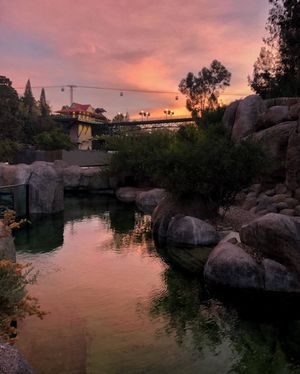 Image post by @sandiegozoo on Instagram