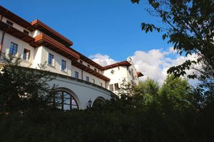 Image post by @greensaturn_ on Instagram