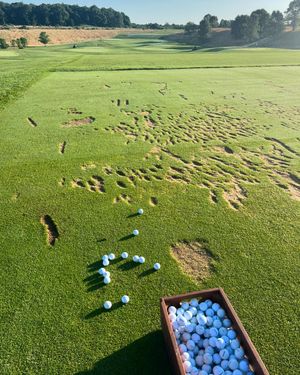 Image post by @trayfour on Instagram