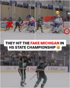 Image post by @br_openice on Instagram