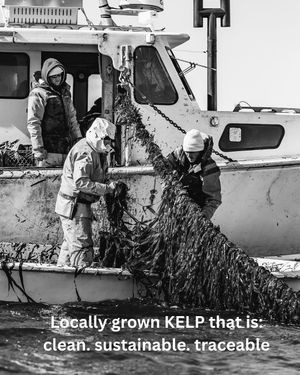 Image post by @atlanticseafarms on Instagram