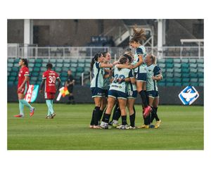 Image post by @friemancreative on Instagram