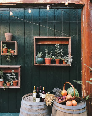 Image post by @kirstenalana on Instagram