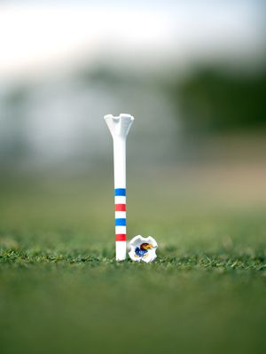 Image post by @evolvegolf on Instagram