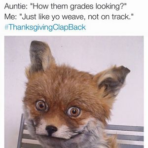 Image post by @angelarye on Instagram
