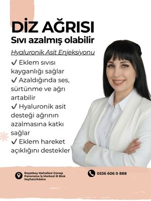Image post by @drozlemteberik on Instagram