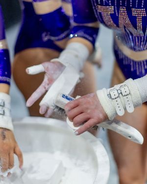 Image post by @uwgymnastics on Instagram