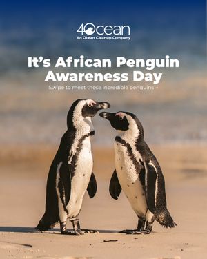 Image post by @4ocean on Instagram