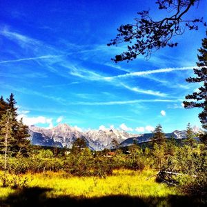 Image post by @kirstenalana on Instagram