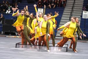 Image post by @wgisportofthearts on Instagram