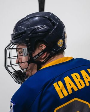 Image post by @wvud1hockey on Instagram