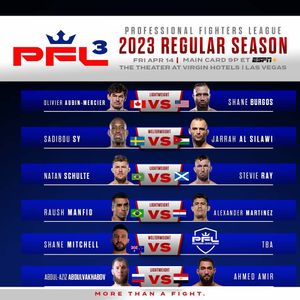 Image post by @pflmma on Instagram