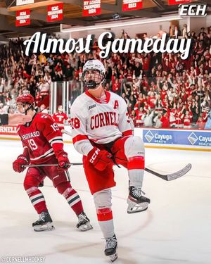 Image post by @everythingcollegehockey on Instagram
