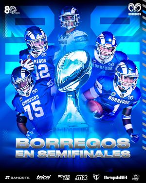 Image post by @borregostec on Instagram