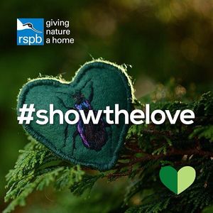 Image post by @rspb on Instagram