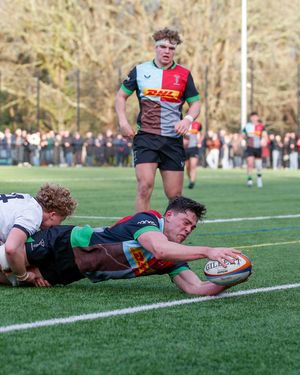 Image post by @harlequins on Instagram