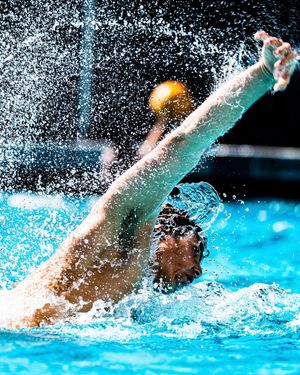 Image post by @calmwaterpolo on Instagram