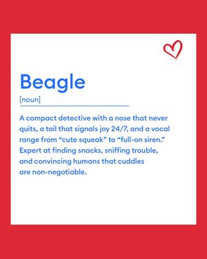 Image post by @petsmart on Instagram