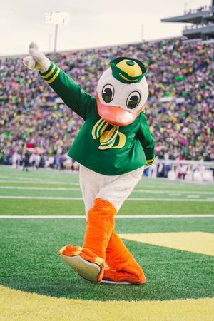 Image post by @GoDucks on Twitter