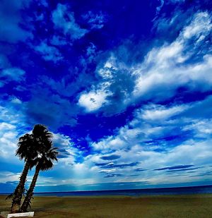Image post by @mauricos_1410 on Instagram