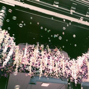 Image post by @emilygoldphotography on Instagram