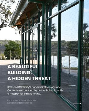 Image post by @featherfriendly on Instagram