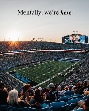 Image post by @panthers on Instagram