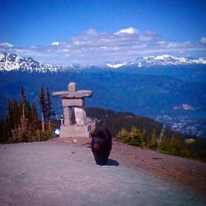 Image post by @whistlerblackcomb on Instagram