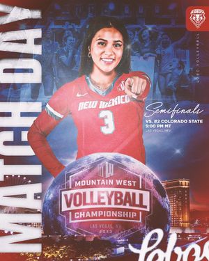 Image post by @UNMLoboVB on Twitter