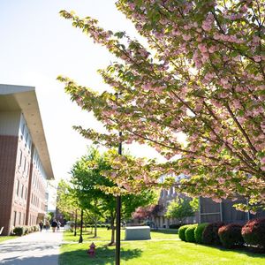 Image post by @marshallu on Instagram