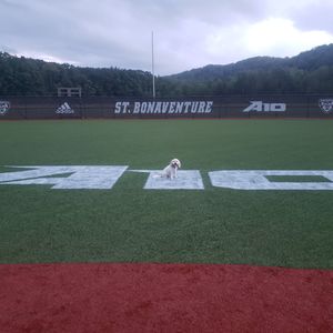 Image post by @BonniesSoftball on Twitter