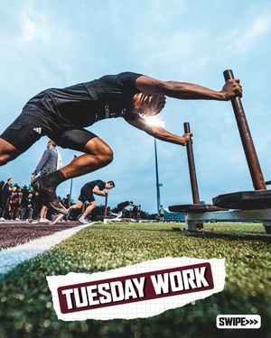 Image post by @hailstatefb on Instagram