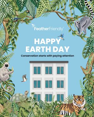 Image post by @featherfriendly on Instagram