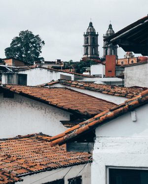 Image post by @roosanchez on Instagram