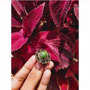 Image post by @leafyaffair on Instagram