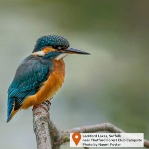Image post by @candmclub on Instagram
