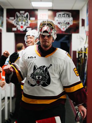 Image post by @Chicago_Wolves on Twitter