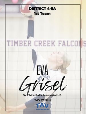Image post by @tavvolleyball on Instagram