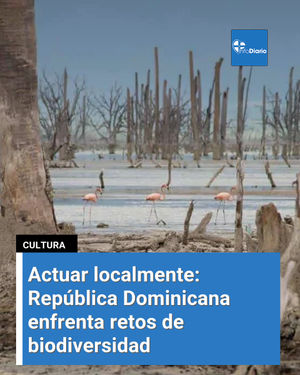 Image post by @infodiariord on Instagram
