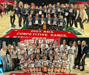 Image post by @SAUBEES on Twitter