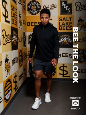 Image post by @saltlakebees on Instagram