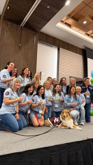 Image post by @reveille on Twitter