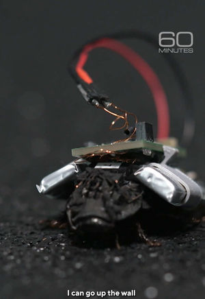 Video post by @60minutes on TikTok