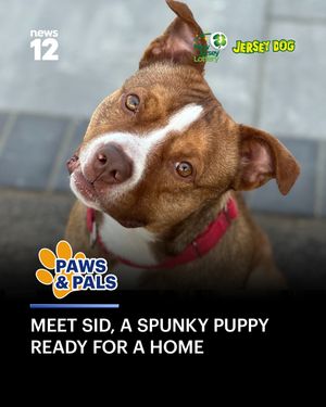 Image post by @news12nj on Instagram