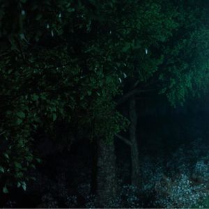 Image post by @paulmarlier on Instagram