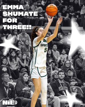 Image post by @msu.nil.store on Instagram